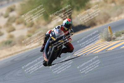 media/May-14-2023-SoCal Trackdays (Sun) [[024eb53b40]]/Turn 5 Tree of Life (1125am)/